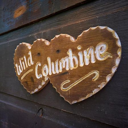 Wild Columbine - Gatlinburg Area Hottub Romantic Cabin Villa Sevierville Exterior photo